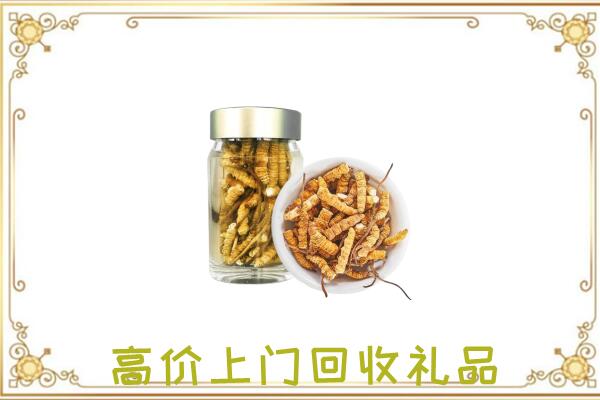焦作市周边回收虫草